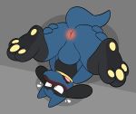  3_toes anthro anus baby_pok&eacute;mon balls birdvian blush bodily_fluids butt genitals hi_res male nintendo paws pok&eacute;mon pok&eacute;mon_(species) presenting riolu simple_background solo spread_butt spreading sweat sweatdrop toes upside_down video_games 