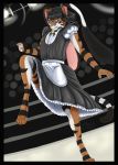  anthro black_body black_border black_fur border claws clothed clothing facial_markings fighting_pose floppy_ears fur girly green_eyes hair head_markings hi_res hybrid long_hair lop_ears maid_uniform male markings mglblaze muay_thai orange_body orange_fur pose pupils slit_pupils solo tiger_stripes uniform white_body white_fur 