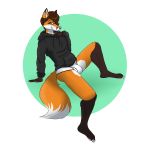  1:1 absurd_res alpha_channel anthro black_clothing black_hoodie black_topwear briefs bulge canid canine clothing drawyourfursona fox hi_res hoodie hoodie/briefs_meme male mammal meme meme_clothing simple_background sitting solo topwear underwear unknown_artist white_clothing white_underwear 