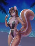  5_fingers anthro beach blue_eyes breasts brown_body brown_fur brown_hair detailed_background eyebrows eyelashes female fingers fur hair hi_res mammal night outside rodent sand sciurid seaside shoreline sky solo standing star starry_sky water wyla 