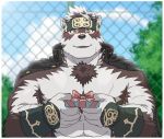  1boy animal_ears bara bare_pecs blush body_hair chest_hair furry gift grey_fur grey_hair headband holding holding_gift horkeu_kamui_(tokyo_houkago_summoners) incoming_gift jacket jacket_on_shoulders looking_at_viewer male_focus muscle pectorals revealing_clothes rossciaco short_hair smile solo tail tokyo_houkago_summoners two-tone_fur upper_body vambraces white_fur wolf_boy wolf_ears wolf_tail yellow_eyes 