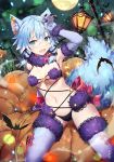  1girl animal_ear_fluff animal_ears arm_up armpits bare_tree bat black_panties black_ribbon blue_eyes blue_gloves blue_hair blue_legwear blurry blush bokeh bow breasts commentary_request cosplay cross-laced_clothes dangerous_beast depth_of_field dutch_angle elbow_gloves eyebrows_visible_through_hair fang fate/grand_order fate_(series) feet_out_of_frame full_moon fur_trim gabiran glint gloves hair_between_eyes hair_ribbon hand_on_own_forehead jack-o&#039;-lantern lamppost light_particles looking_at_viewer mash_kyrielight mash_kyrielight_(cosplay) medium_breasts medium_hair moon night night_sky o-ring o-ring_top open_mouth panties pink_bow ribbon scarf sinon_(sao-alo) sitting skin_fang sky solo sword_art_online tail thighhighs tree underwear wolf_ears wolf_tail 