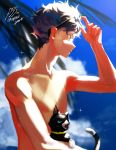  1boy absurdres amamiya_ren animal black_cat black_eyes btmr_game cat closed_mouth cloud copyright_name day eyewear_on_head from_side highres male_focus morgana_(persona_5) outdoors palm_tree persona persona_5 persona_5_scramble:_the_phantom_strikers profile shirtless signature sky sparkle tree upper_body 