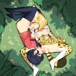  2girls 69 absurdres animal_ears animal_print areolae black_hair black_legwear blonde_hair breasts breasts_outside closed_eyes elbow_gloves fellatio flower forest from_above futa_with_futa futanari gloves grass highres initsukkii kaban_(kemono_friends) kemono_friends licking licking_penis lying multiple_girls nature nipples on_back on_side open_mouth oral outdoors penis print_gloves print_legwear red_shirt serval_(kemono_friends) serval_ears serval_tail shirt short_hair skirt tail testicles thighhighs uncensored 