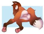  4_toes absurd_res anthro anus bodily_fluids brown_hair butt canid canine claws clitoris delki feet female fox fur genital_fluids genitals hair hi_res looking_at_viewer lying mammal orange_body orange_fur pawpads paws pinup pose pussy pussy_juice shy smile solo toe_claws toes 
