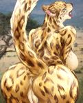  ah_yeah_yeah anthro anus big_breasts big_butt breasts butt cheetah detailed_background felid feline female genitals hi_res looking_back mammal outside presenting pussy raised_tail tongue tongue_out 