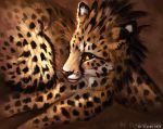  2020 amber_eyes black_nose cheetah digital_media_(artwork) feathered_wings feathers felid feline flashw hybrid mammal whiskers wings 