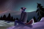  2020 3:2 anthro canid canine canis detailed_background digital_media_(artwork) male mammal night outside sinalanf sitting sky solo star starry_sky wolf 