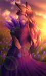  2020 5_fingers anthro breasts brown_hair canid canine clothed clothing day detailed_background digital_media_(artwork) dress female fingers fox grass hair hi_res lynjox lynxyjones mammal outside sky solo 