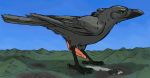  2018 4_toes animated anisodactyl avian bird black_body black_feathers black_feet blue_sky bodily_fluids city corvid corvus_(genus) crow cum cum_flooding cumshot ejaculation excessive_cum feathers feral genital_fluids genitals green_eyes hyper hyper_cum macro magpi male mega_macro mountain oscine passerine penis pink_penis sky solo tapering_penis throbbing_penis toes 