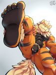  5_toes abs absurd_res anthro arcanine balls big_muscles black_body black_stripes blaze_(jakewolf00) butt fan_character feet flaccid foot_focus foreshortening genitals hi_res male multicolored_body muscular muscular_anthro muscular_male nintendo orange_body pecs penis pok&eacute;mon pok&eacute;mon_(species) pubes resondog solo stripes toes video_games white_tail 