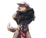  asian_clothing blush bulge canid canine canis clothing domestic_dog east_asian_clothing fishnet fundoshi japanese_clothing male mammal pt solo tadatomo tokyo_afterschool_summoners underwear undressing video_games 