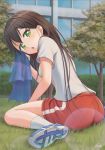  1girl :o artist_name ass bang_dream! bangs black_hair blush breasts brown_hair commentary_request from_side green_eyes gym_uniform hanazono_tae hand_up highres lic_(licloud28) long_hair looking_at_viewer looking_back medium_breasts on_grass open_mouth outdoors red_shorts shirt shoes short_sleeves shorts sitting socks solo towel tree wariza white_shirt 