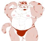  12beat13 2020 anthro bulge clothing felid humanoid_hands kemono male mammal musclegut nipples pantherine simple_background solo tiger underwear white_background 