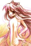  animal_ears breasts holo long_hair nayumi nude solo spice_and_wolf tail wolf_ears 