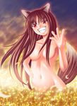  animal_ears breasts highres holo long_hair nude nukunuku_(hinataboltuko) solo spice_and_wolf tail wolf_ears 