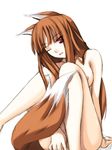  animal_ears areolae brown_hair holo long_hair nude one_eye_closed red_eyes ribi solo spice_and_wolf tail wolf_ears 