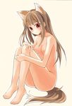  animal_ears barefoot brown_hair feet hand_on_own_knee holo long_hair nude otabe_sakura red_eyes sitting solo spice_and_wolf tail wolf_ears 
