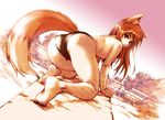  all_fours animal_ears ass barefoot bent_over black_panties brown_hair dutch_angle from_behind hisahiko holo long_hair looking_at_viewer looking_back panties parted_lips red_eyes soles solo spice_and_wolf tail topless underwear wolf_ears wolf_girl wolf_tail 