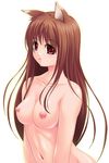  animal_ears breasts holo long_hair medium_breasts nipples nude solo spice_and_wolf toujou_akira wolf_ears 