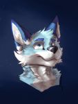  3:4 absurd_res anthro blue_background canid canine cedronrohuta fox hi_res male mammal simple_background solo zeremmy 