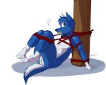  3_toes ? anthro anus balls bdsm bluecoffeedog bondage bound canid canine canis domestic_dog gag genitals hi_res legs_up liberty_(bluecoffeedog) male mammal nude rope rope_bondage sitting solo tape tape_gag toes 