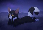  2018 ambiguous_gender anthro black_body black_fur detailed_background digital_media_(artwork) domestic_cat felid feline felis fur hi_res mammal night orange_eyes outside reysi sky solo star starry_sky yellow_eyes 