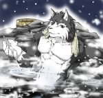 2006 anthro bathing black_body black_fur canid canine fur humanoid_hands kemono low_res male mammal muscular muscular_male outside sitting snow towel unknown_artist water white_body white_fur 