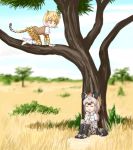  =_= animal_ears animal_print bangs black_hair blonde_hair blurry blurry_background bodystocking boots bow bowtie breast_pocket cat_girl closed_eyes commentary_request day elbow_gloves extra_ears eyebrows_visible_through_hair gloves grass grey_hair hyena_ears hyena_girl hyena_tail in_tree kemono_friends leopard_(kemono_friends) leopard_ears leopard_girl leopard_print leopard_tail long_hair long_sleeves looking_at_another medium_hair multicolored_hair on_ground open_mouth outdoors pleated_skirt pocket print_gloves print_legwear print_skirt savannah shirt shoes short_over_long_sleeves short_sleeves shun05q sidelocks skirt smile spotted_hyena_(kemono_friends) sweater_vest tail thighhighs tree white_hair yellow_eyes |d 