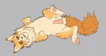  anatomically_correct anatomically_correct_genitalia anatomically_correct_penis balls domestic_cat felid feline felis feral fluffy fur genitals hi_res lionblaze_(warriors) looking_at_viewer lying male mammal on_back orange_body orange_fur pawpads paws penile_spines penis presenting solo sphynxxx spread_legs spreading tabby_cat warriors_(cats) 