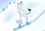  anthro blue_eyes breasts chest_tuft felid female fur genitals grey_body grey_fur hair hi_res mammal nipples nude pantherine pink_nipples pink_nose pussy ruth66 snow snow_leopard snowboarding solo spots tuft white_body white_fur white_hair winter 