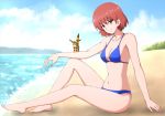  1girl animal_on_arm bad_id bad_twitter_id bangs beach bikini blue_bikini breasts brown_eyes brown_hair cleavage closed_mouth cloud cloudy_sky day earrings eyebrows_visible_through_hair highres jewelry kaze_no_tani_no_nausicaa knee_up looking_at_viewer medium_breasts nausicaa navel outdoors pet short_hair sitting skindentation sky smile solo swimsuit teto water 