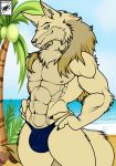  absurd_res anthro beach bulge canid canine canis day detailed_background digital_media_(artwork) edit eli_the_wolf_(nickanater1) fur hi_res male mammal muscular muscular_male nickanater1_(artist) outside pose sand seaside sky solo tan_body tan_fur teal_eyes walter_sache water wolf 