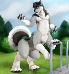  awkore canid canid_taur canine canine_taur canis hi_res jonas-puppeh male mammal mammal_taur park paws solo taur wolf wolf_taur 