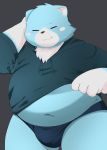  2020 anthro belly blue_body blue_fur bulge clothing fur hi_res hoodie kemono male mammal moosh navel nintendo oracle_of_ages oracle_of_seasons overweight overweight_anthro overweight_male solo the_legend_of_zelda topwear trail_arnak underwear ursid video_games white_body white_fur 