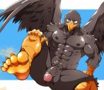  2020 5_toes abs accipitrid accipitriform anthro avian beak big_penis bird black_body black_feathers eagle feathered_wings feathers feet flaccid genitals humanoid_feet humanoid_genitalia humanoid_penis male muscular muscular_anthro muscular_male nekogaki0324 pecs penis signature soles solo spread_legs spreading toes vein veiny_penis wings yellow_feet 