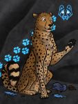  3:4 after_transformation brown_eyes brown_hair cave cheetah claws clothing comic digitigrade felid feline feral footwear hair hi_res human_to_feral jakkal male mammal pawpads paws shoes solo species_transformation surprise torn_clothing transformation 