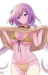  1girl amisu bikini breasts brown_dress closed_mouth cowboy_shot dress dress_lift front-tie_bikini front-tie_top highres lifted_by_self light_smile long_hair looking_at_viewer low_twintails medium_breasts navel purple_eyes purple_hair simple_background solo string_bikini swimsuit touhou tsukumo_benben twintails white_background yellow_bikini 