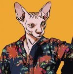  anthro clothed clothing domestic_cat felid feline felis hairless hairless_cat male mammal nikolaspascal pupils shirt slit_pupils solo sphinx_cat topwear yellow_eyes 