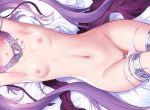  breasts choker close euryale fate/grand_order fate_(series) garter long_hair navel necklace nipples nude panties panty_pull purple_hair pussy rogia twintails uncensored underwear 