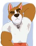  animal_crossing anthro bodily_fluids canid canine canis copper_(animal_crossing) domestic_dog eyebrows hand_behind_head hi_res male mammal muscular muscular_anthro muscular_male nintendo solo sweat sweat_stain thick_eyebrows thomasleon video_games whistle 