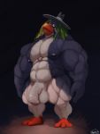  3:4 anthro avian balls bird clothing foreskin genitals hat headgear headwear hi_res humanoid_genitalia humanoid_penis looking_at_viewer male muscular muscular_anthro muscular_male penguin penis solo surf&#039;s_up_2:_wavemania the_undertaker uncut uniparasite 