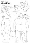  2020 absurd_res anthro balls belly bonedra fish flaccid genitals hi_res japanese_text kemono male marine model_sheet monochrome moobs nipples overweight overweight_anthro overweight_male penis shark simple_background sketch solo text white_background 