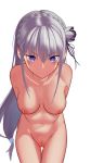  emilia_(re_zero) misan_(dd) naked nipples pointy_ears pussy re_zero_kara_hajimeru_isekai_seikatsu uncensored 