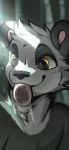  2020 amber_eyes angiewolf anthro black_body black_fur black_nose bodily_fluids digital_media_(artwork) fur giant_panda hi_res licking male mammal saliva smile solo tongue tongue_out ursid white_body white_fur 