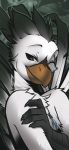  2020 angiewolf anthro avian beak brown_eyes digital_media_(artwork) gryphon hi_res male mythological_avian mythology smile solo 