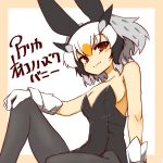  1girl 370ml alternate_costume animal_ears bangs beige_border black_legwear black_leotard border breasts brown_eyes bunny_ears character_name closed_mouth commentary fake_animal_ears gloves grey_hair hand_on_own_knee head_wings kemono_friends knee_up leaning_back leotard looking_at_viewer multicolored_hair northern_white-faced_owl_(kemono_friends) orange_hair pantyhose playboy_bunny short_hair sitting small_breasts smile solo strapless strapless_leotard translated white_background white_gloves white_hair 
