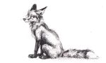  2020 ambiguous_gender black_and_white canid canine digital_media_(artwork) feral fox kenket mammal monochrome simple_background sketch smile solo white_background 