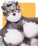  1boy abs animal_ears bara furry grey_hair headband highres horkeu_kamui_(tokyo_houkago_summoners) looking_at_viewer male_focus multicolored_hair muscle nipples pectoral_focus pectorals plump silver_hair simple_background solo tokyo_houkago_summoners udon_oneday upper_body 