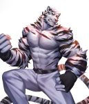 1boy animal_ears arknights bara black_gloves blue_eyes clenched_teeth feet_out_of_frame fingerless_gloves furry gloves highres looking_at_viewer male_focus mountain_(arknights) muscle no_nipples pants pectorals scar scar_across_eye shirtless short_hair solo teeth tiger_boy tiger_ears tiger_stripes white_background white_fur white_hair white_pants yuuko_(renhaowei2010) 
